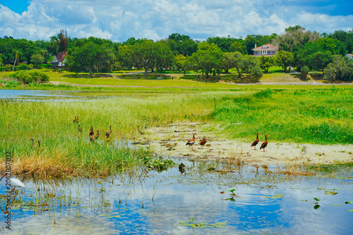 landscape of Lake Wales is a historic city in Polk County, Florida, highest point of Florida