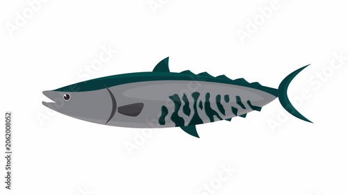 Large grey striped saltwater mackerel fish illustration perfect for aquaticthemed designs, educational materials, seafood restaurant menus, and wildlife publications.