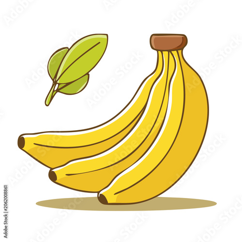 Yellow banana bunch with green stem vector