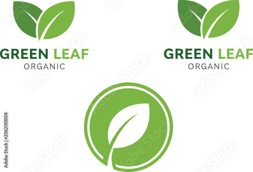 Obraz na plátně Minimalist green leaf organic logo template collection featuring circular badges
