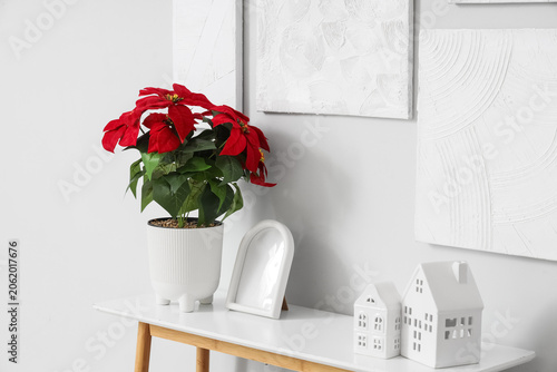 Table with Christmas plant ...