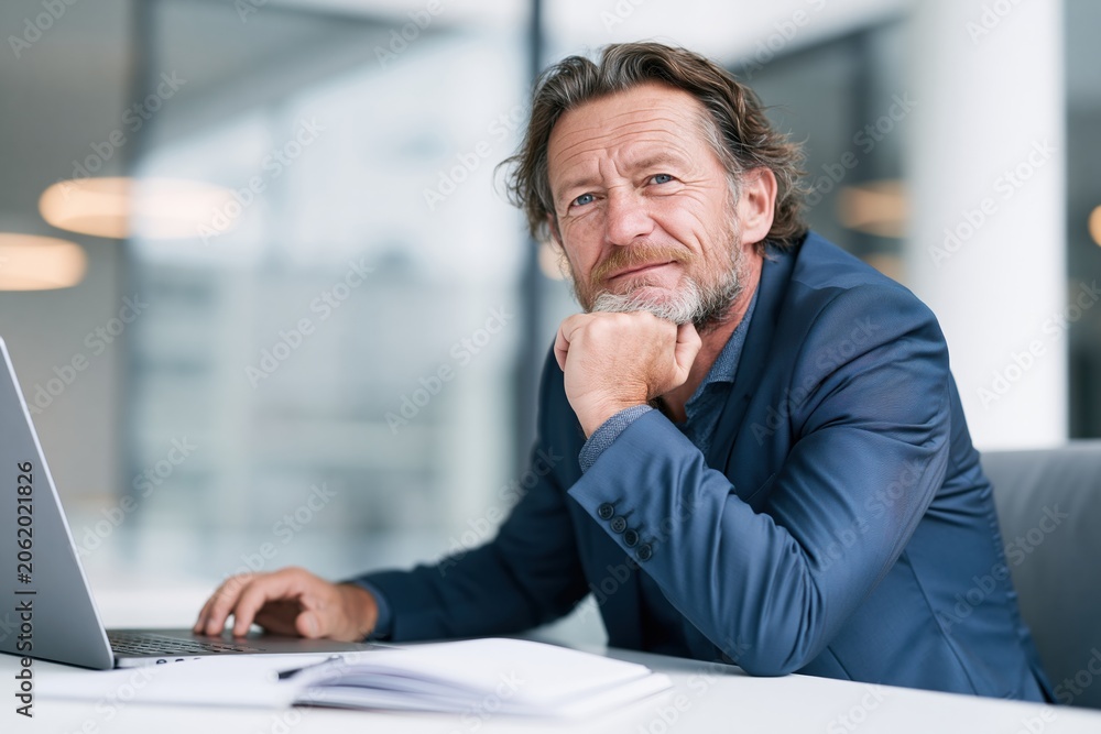 Naklejka premium Smiling businessman working at laptop in modern office