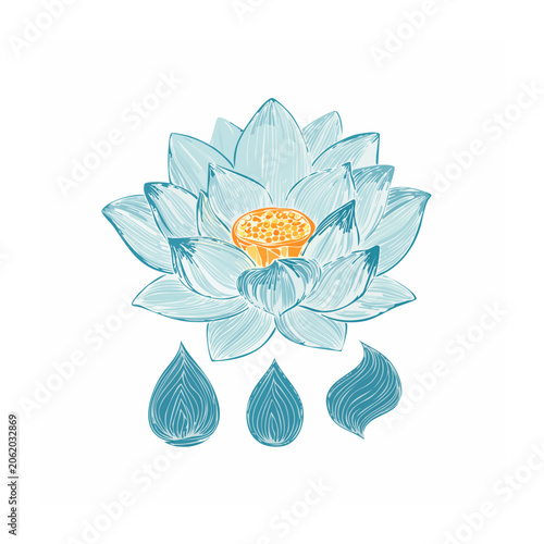 Blue lotus flower with water droplets vector