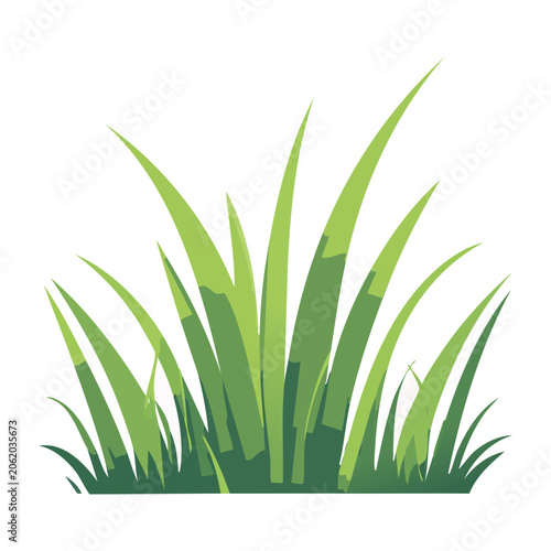 Green grass blades illustration on white background