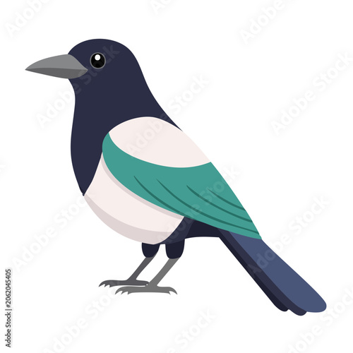Flat design illustration of a magpie bird