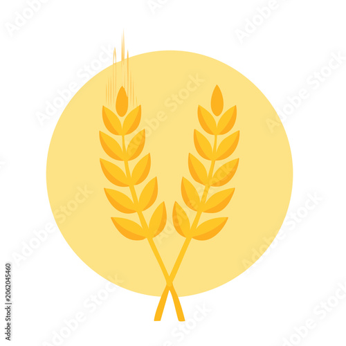 Flat design wheat icon on yellow background