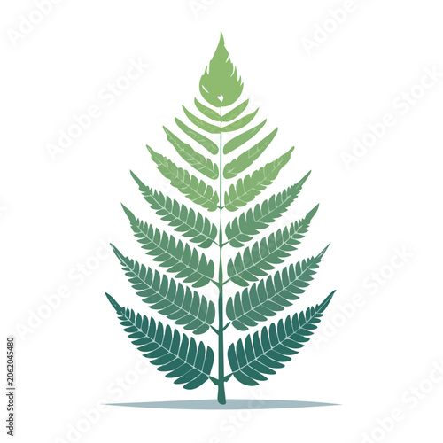 Green fern leaf flat illustration