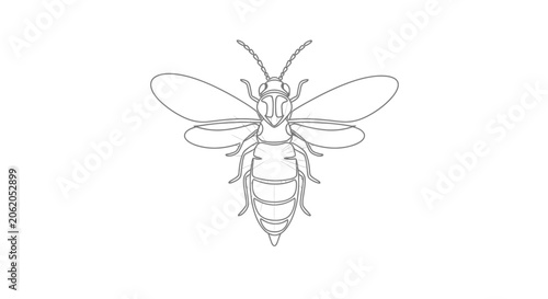 Schilderij op canvas Minimalist Bee Line Art Illustration