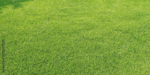 Konstfotografi Green grass texture a full frame scenic view of a lawn surface