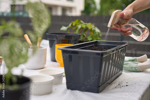 Woman sprays water on soil in planter box at outdoor gardening table