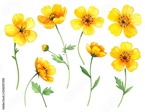 A vibrant arrangement of seven yellow flowers with green stems