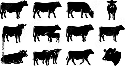Aberdeen angus silhouette icon set, flat black glyph style, pure white background