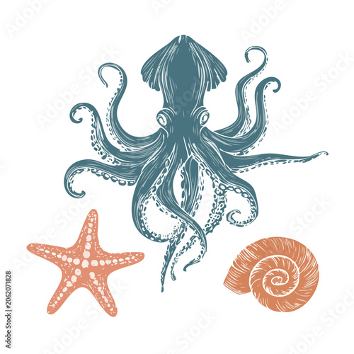 Blue octopus with orange ink blob and sea star
