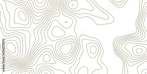 Abstract topographic contours map background. Topography white wave lines vector background. Topographic map Patterns, Topographic map and place for texture. Wavy curve lines banner design.