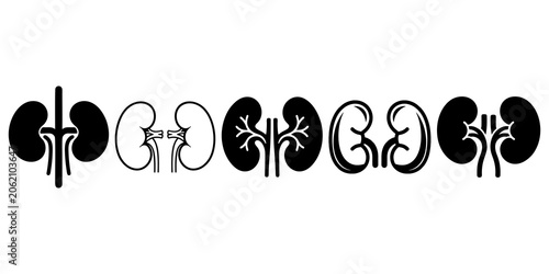 Tableau sur toile kidney icon, minimalist black and white vector