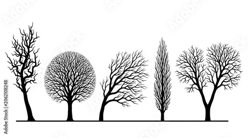 Minimalist bare tree silhouettes in various shapes and sizes