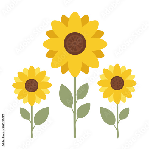 Three Yellow Sunflowers Flat Design Illustration