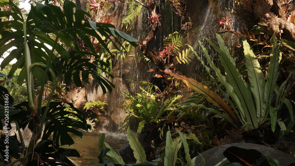 Fototapeta premium Lush Exotic Tropical Vegetation in a Botanical Garden