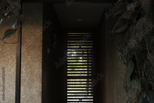 Serene View of a Tropical Garden Through a Slatted Window