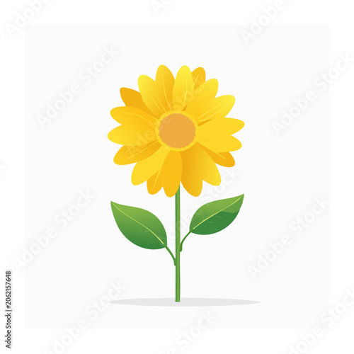 Yellow daisy flower with green stem and leaves