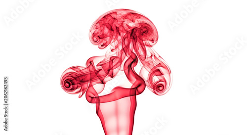 Red Smoke Cloud Explosion Isolated Transparent Background Abstract Fluid