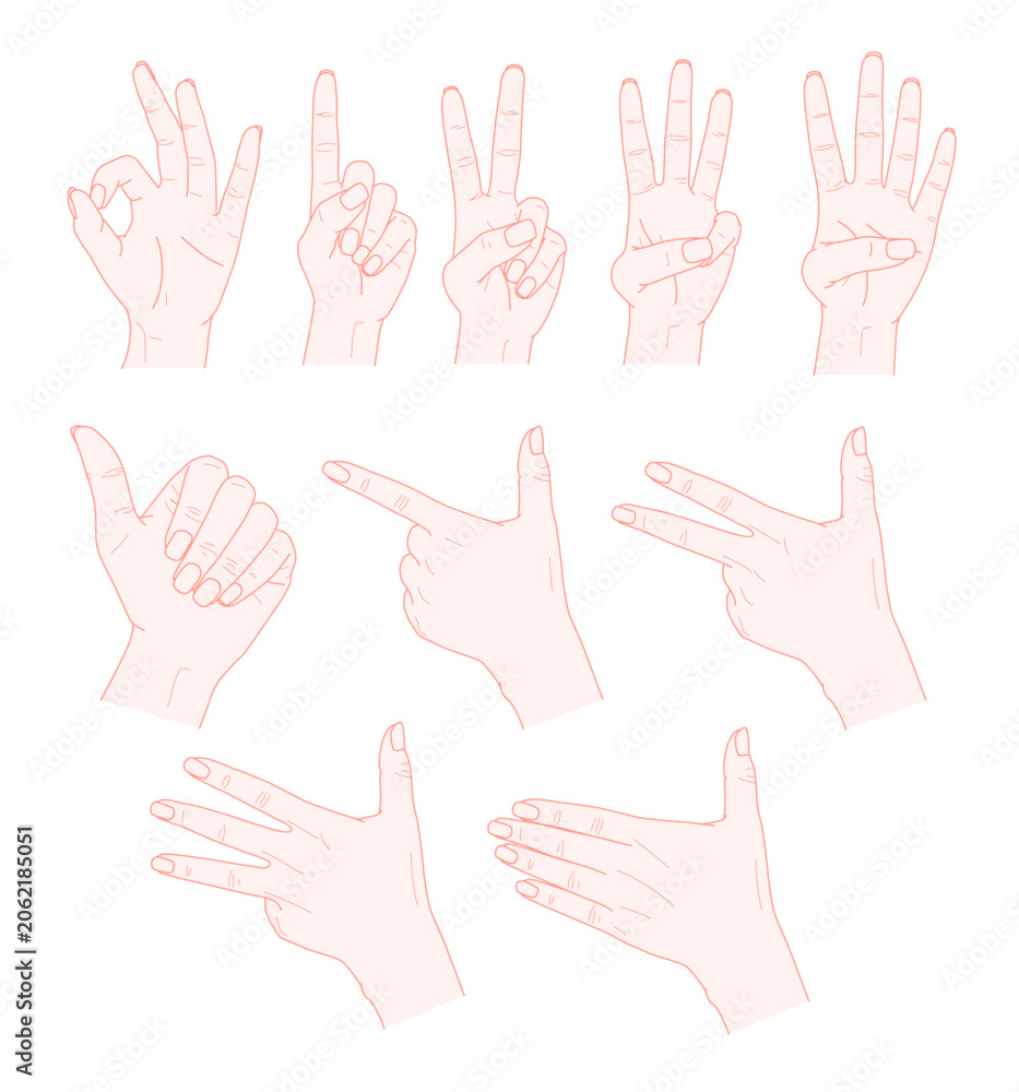 Fototapeta premium Sign Language Numbers 0-9 Hand Gesture Set, American Sign Language ASL Counting Symbols, Educational Vector Illustration Collection