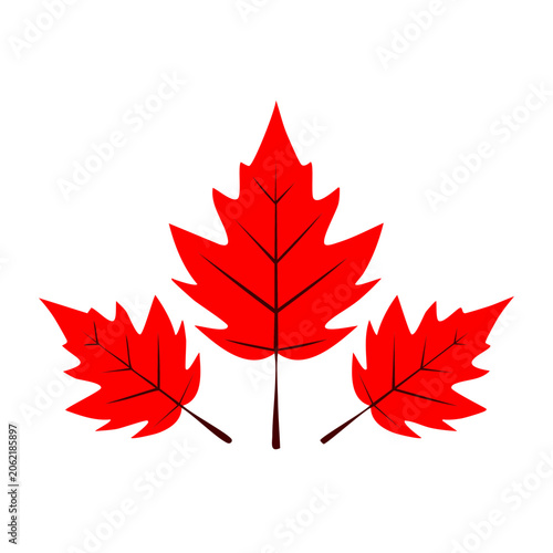 Red maple leaf vector icon