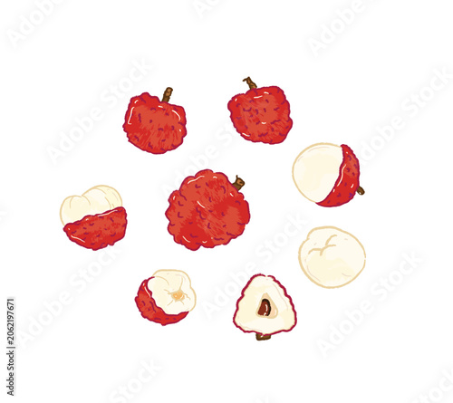 Ichyee tropical fruit vector illustration 