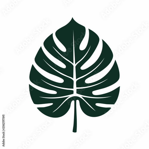 Monstera Leaf Silhouette