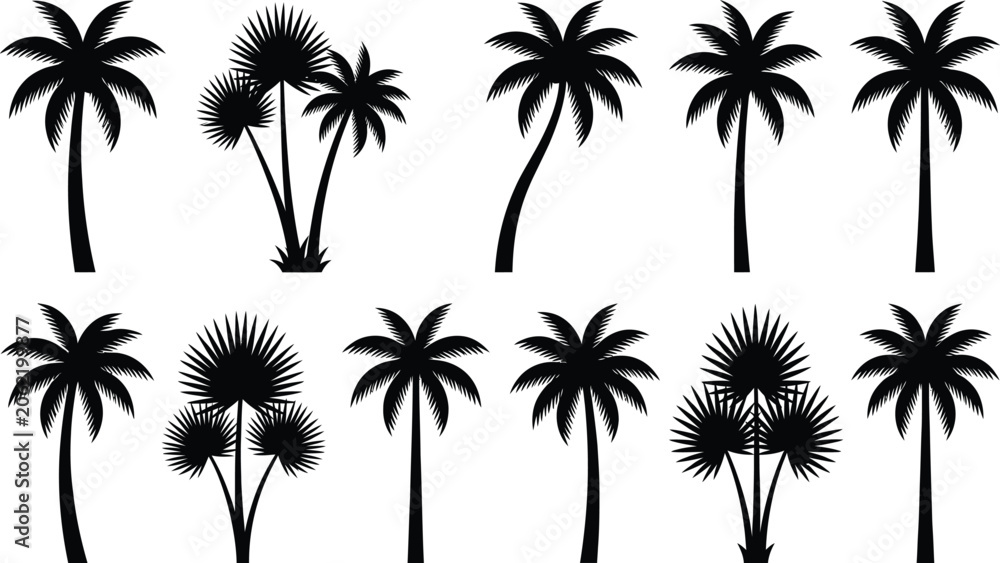 Obraz premium Palm tree silhouettes against a white background for tropical design elements