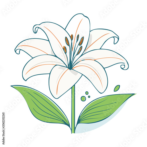 Flat design lily flower illustration