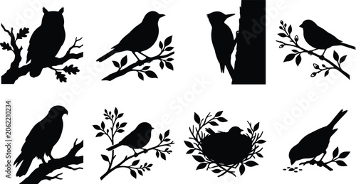 Photography Set of wild bird silhouettes perched on tree branches including owl woodpecker h