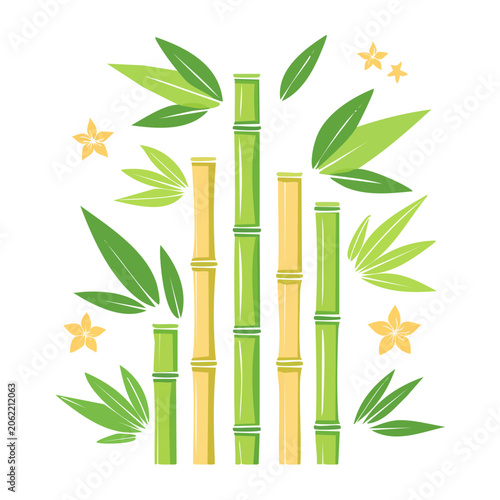 Flat Design Bamboo and Leaves Illustration