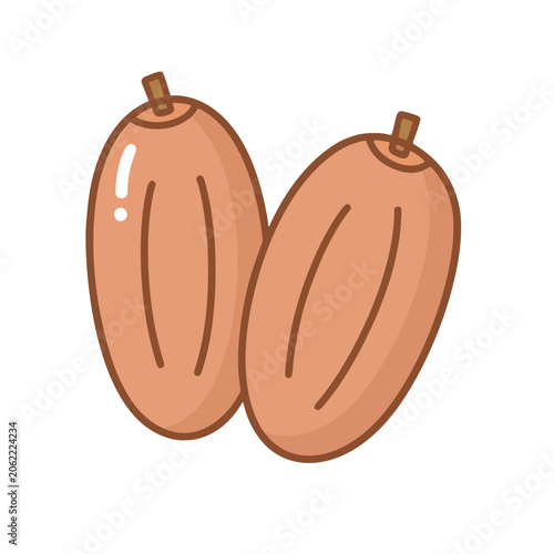 Simple hand drawn dates fruit illustration with smooth outlines and soft earthy colors, ideal for healthy food themes, Ramadan designs, and organic branding.