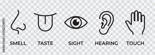 Five Human Senses Black Line Icons