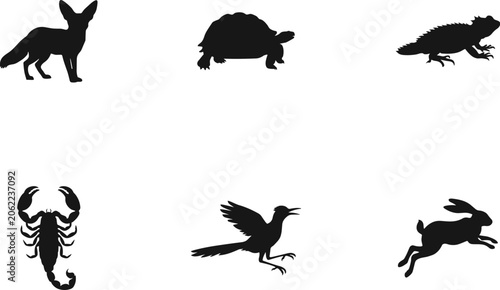 Photography Wildlife Animal Silhouette Collection Featuring Fox Tortoise Lizard Scorpion Bir