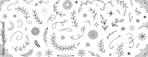 Hand drawn doodle with leaves branches flowers and swirls in a whimsical black and white style