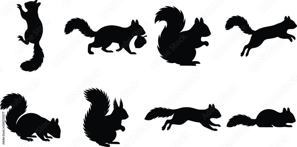 Obraz premium Squirrel Silhouette Collection Set with Running Jumping and Sitting Poses