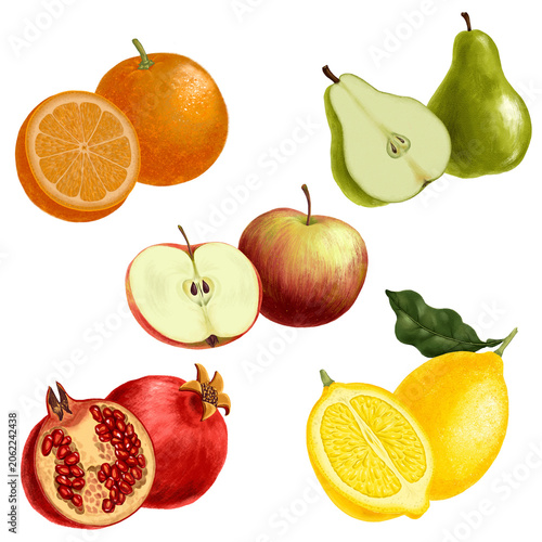 drawing fruits isolated at white background, hand drawn illustration