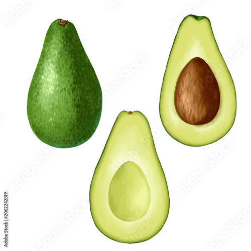 drawing green avocados whole and halfs isolated at white background, hand drawn illustration