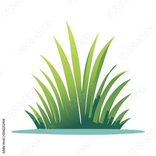 Snake plant in minimalist style