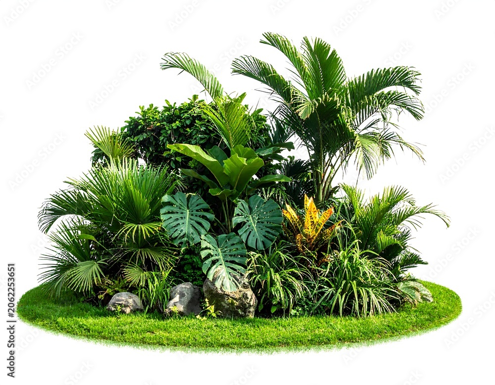 Fototapeta premium A vibrant cluster of tropical plants and palm trees on a grassy mound