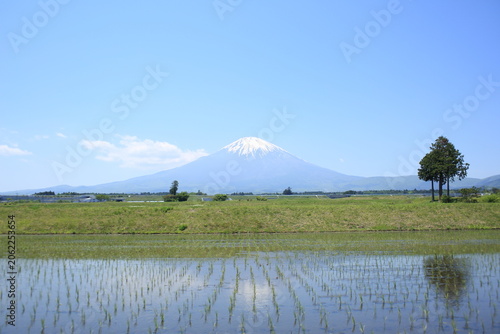 御殿場市の田園風景