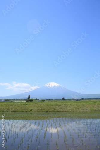 御殿場市の田園風景