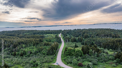 Winding Country Road Through Evergreen Forest with Fog and Dramatic Sky