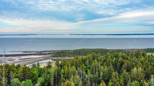Aerial View of Coastal Forest and Tidal Shoreline Along Atlantic Canada