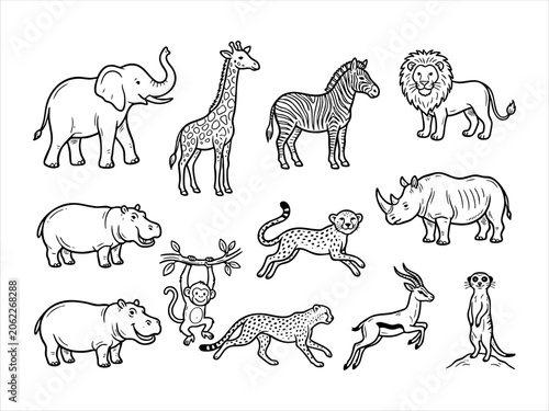 Photography Hand drawn wild animal sketch collection including elephant giraffe and lion wit