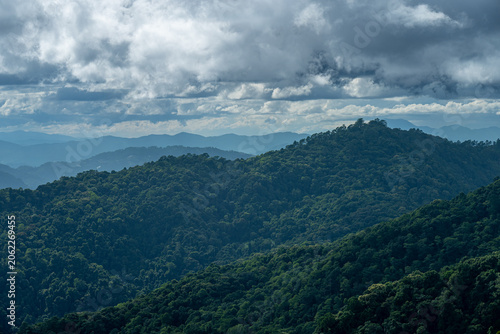 Green mountain forest landscape in cloudy day 
