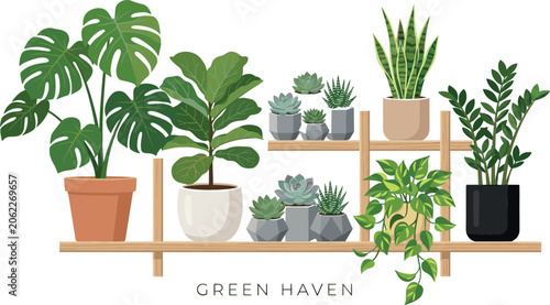 Modern Indoor Houseplants on Wooden Shelves Vector Illustration Featuring Monstera Fiddle Leaf Fig Pothos Snake Plant and Potted Succulents for Home Decor Layouts