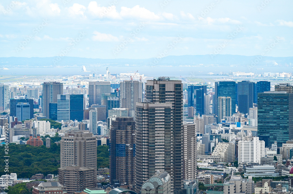 Fototapeta premium 青空の下、東京湾へと広がる高層ビル群の東京都市景観を見渡す眺め
